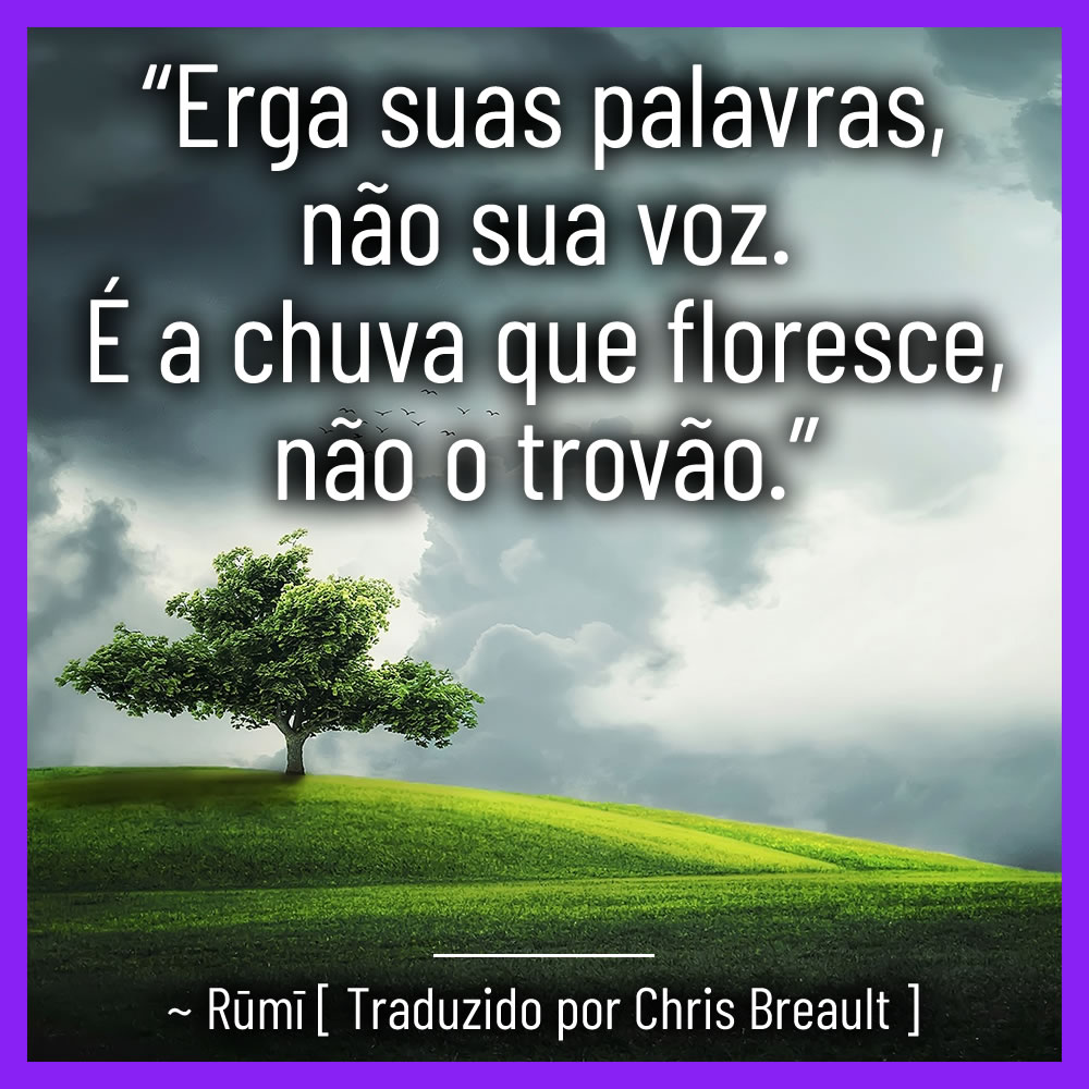 “Erga suas palavras, não sua voz. É a chuva que floresce, não o trovão.” ~ Rūmī