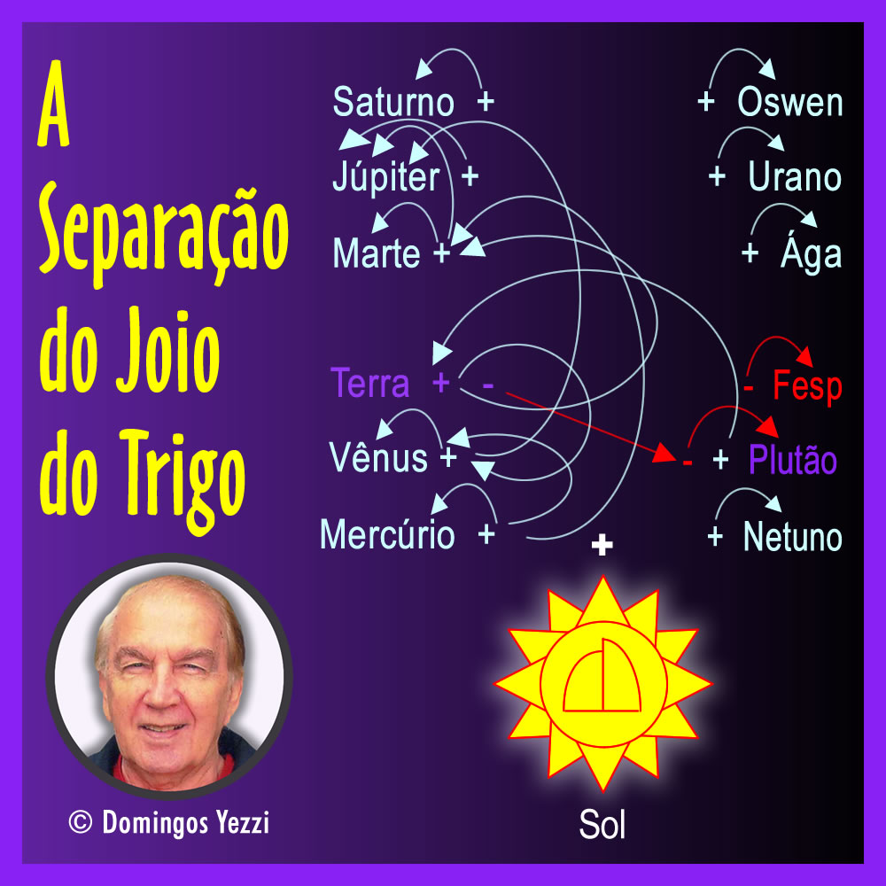 A Separação do Joio do Trigo