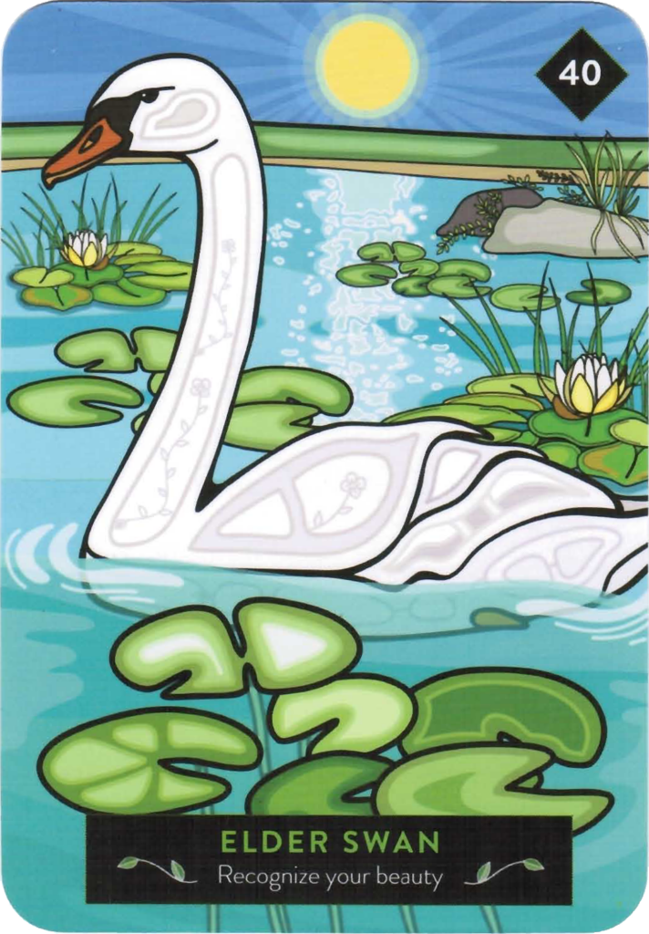 Elder Swan: Recognize your beauty